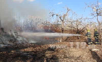 圖為阿克蘇地區(qū)溫宿縣一果園樹(shù)木發(fā)生火災(zāi) 圖為阿克蘇地區(qū)溫宿縣一果園樹(shù)木發(fā)生火災(zāi)